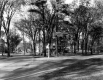 Town green