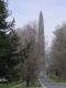 Bennington Monument