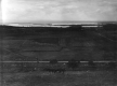 Horses and field crops