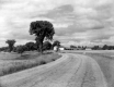 Guay Farm
