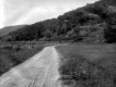 Elbridge Whitcomb Farm