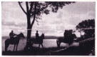 Horses and Riders at Oakledge