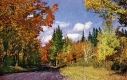 Autumn Road at Oakledge