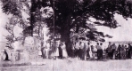 Cookout at Oakledge Lakeshore