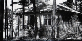 Cabin in Woods at Oakledge