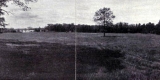 View of Oakledge Lawns