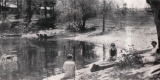 South Cove at Oakledge