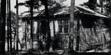 Cabin at Oakledge