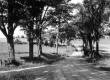 Travelers on Rural Road