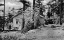 Cabin in Woods at Oakledge