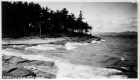 Shoreline at Oakledge
