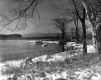 Shoreline at Oakledge