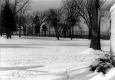 Winter Lawn at Oakledge