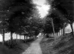 Creek Road