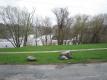 Vergennes Falls Park 
