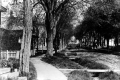 Green Street