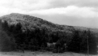 Forested Hill