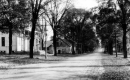 Street in Town