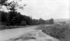 Stone Wall Near Rural Road