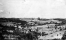 View from the Willows