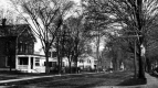 Buildings on Main Street