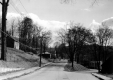 Forked Road on Hill in Neighborhood