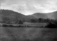 Corn field and Camel's Hump