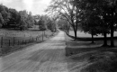 Rural Road and Open Fields