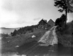House Near Lake