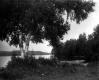 Shore of Lake Willoughby