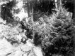 Waterfall on Mount Pisgah