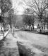 Houses on Main Street