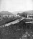 Town and Field Crops