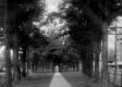 Town Park