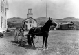 Horse and Buggy in Town