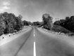 Cars on Paved Road