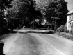 Houses Along Paved Road