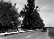 Car on Route 104