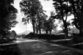 Car on Rural Road