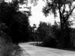 Rural Road and Train Tracks Around Corner