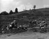 Boulders in Cleared Land