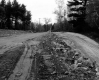 "Y" In Rural Road