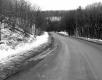 Forest Road in Early Spring