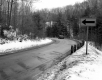 Truck on forest road