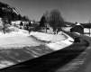 Farm Land in Winter