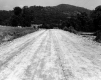 Driscoll Pastures