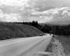 Cars on Paved Road