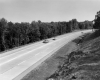 Forest Near Highway