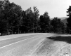 Forests Around Rural Road