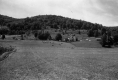 Farm Fields and Buildings